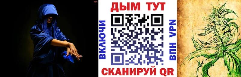Купить закладку КОКАИН  Конопля  Меф мяу мяу  Амфетамин  ГАШ  Кингисепп