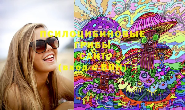герыч Верхний Тагил