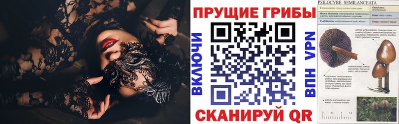 Галлюциногенные грибы Psilocybe  Купить где  Кингисепп 
