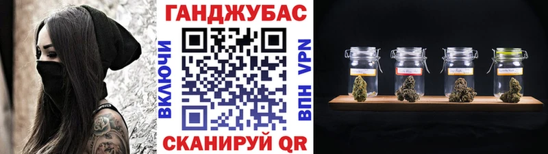 Купить закладки  Кингисепп  Каннабис планчик 
